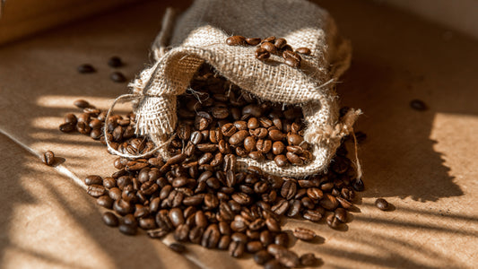 Fedezd fel Sidamo kávéültetvényeit!