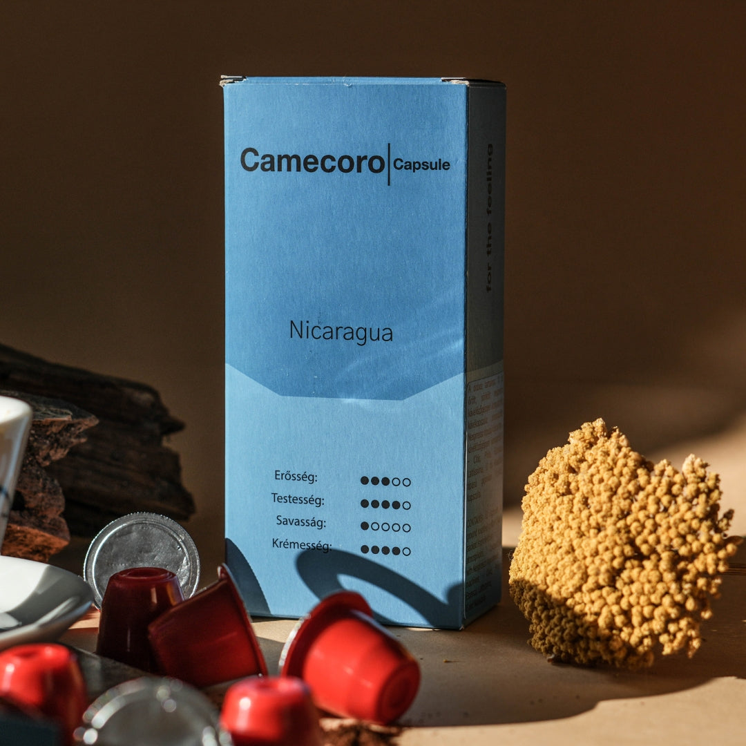 Camecoro Nicaragua