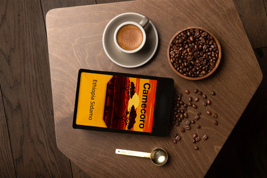 Ethiopia Sidamo