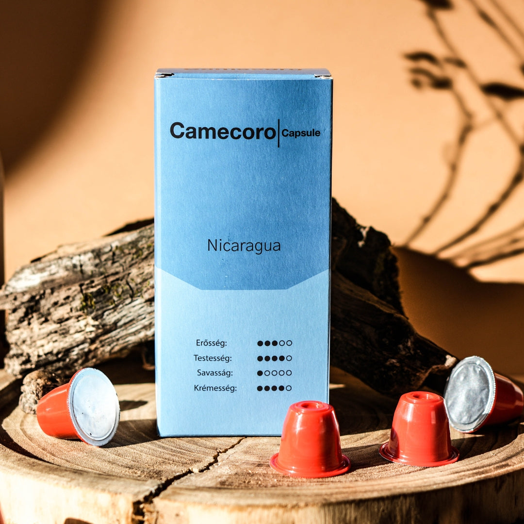 Camecoro Nicaragua