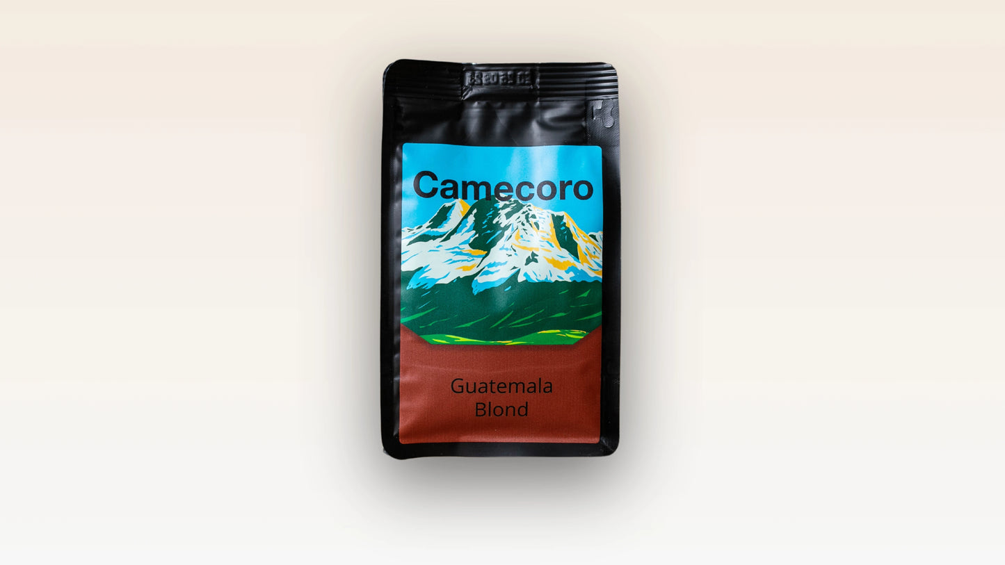 Guatemala Blond