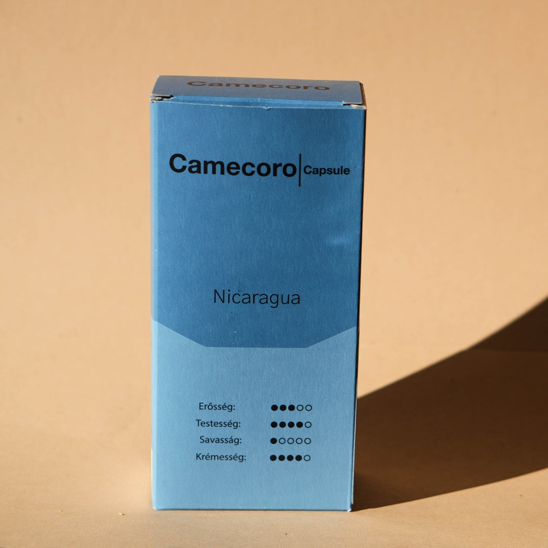 Camecoro Nicaragua